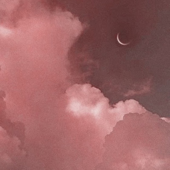 Meet your Posher, Carley - Picture 1 of 1